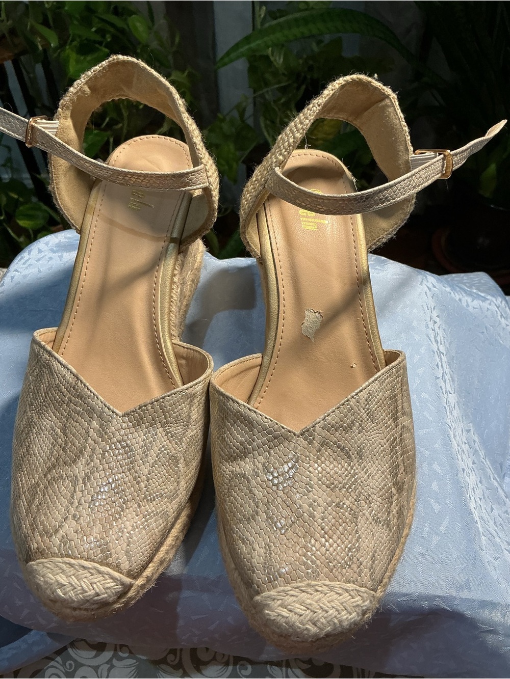 Beige Espadrille Wedge Sandals with Ankle Strap - Women